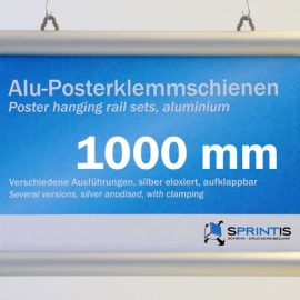 Profilo porta poster, in alluminio 1000 mm