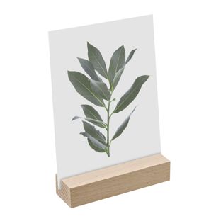 Portacarte in legno 100 mm | Faggio  | scanalatura di inserimento diritta  | oliato 