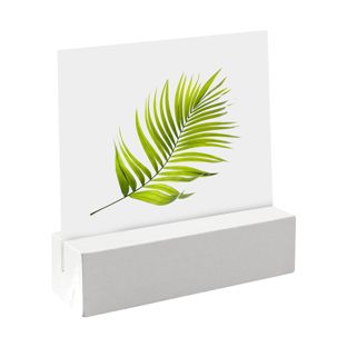 Portacarte in legno 60 mm | bianco  | scanalatura di inserimento diritta  | verniciato 