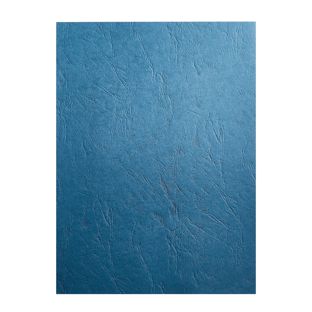 Copertina posteriore in cartoncino A4,  struttura in pelle null