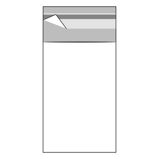 Buste con patella di chiusura, plastica OPP, trasparente 60 x 120 mm 