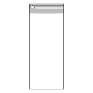 Buste con patella di chiusura, plastica OPP, trasparente 100 x 250 mm