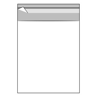 Buste con patella di chiusura, plastica OPP, trasparente 150 x 180 mm