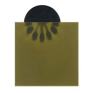 Pellicola di visualizzazione magnetica per rivelare campi magnetici 150 x 150 mm