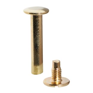 Viti sepolte, ottonato 20 mm | manicotto liscio, vite con scanalatura 