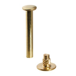 Viti sepolte con testa inseribile a pressione, ottonato 40 mm