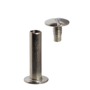 Viti sepolte, acciaio inox 20 mm