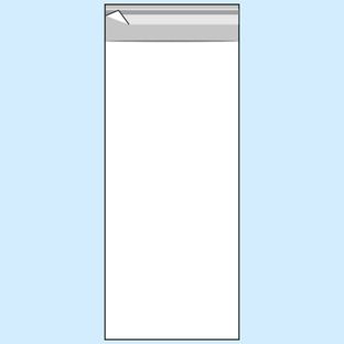 Buste con patella di chiusura, plastica OPP, trasparente 100 x 250 mm 