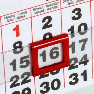 Segnagiorni per calendario da scrivania, design a foglia, 8 x 10 mm, per larghezza del calendario 95 mm 