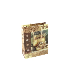 Borsa regalo con pacchetto di Natale, 18 x 23 x 8 cm, oro 