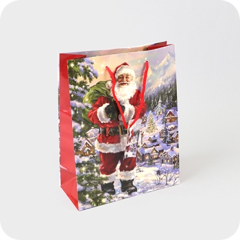 Borsa regalo con Babbo Natale, 18 x 8 x 23 cm, colorata 
