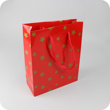 Borsa regalo con Stelle di Natale, 20 x 25 x 8 cm, rosso 
