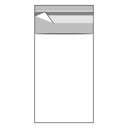 Buste con patella di chiusura, plastica OPP, trasparente 60 x 120 mm