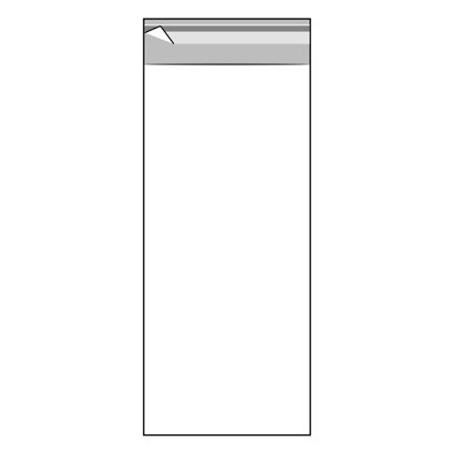 Buste con patella di chiusura, plastica OPP, trasparente 100 x 250 mm