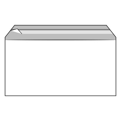 Buste con patella di chiusura, plastica PP, trasparente 229 x 114 mm | 100 µm