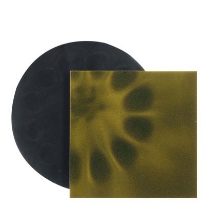 Pellicola di visualizzazione magnetica per rivelare campi magnetici 75 x 75 mm