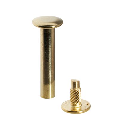 Viti sepolte con testa inseribile a pressione, ottonato 20 mm