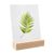 Portacarte in legno null | null | 100 mm | null