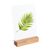 Portacarte in legno null | null | 100 mm | null