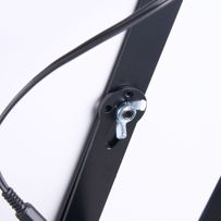 morepic-3