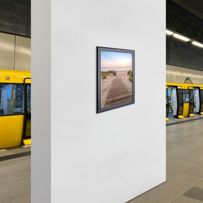 morepic-6